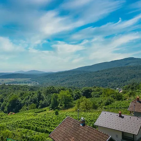 Vineyard Pri Krakaru - Happy 4*