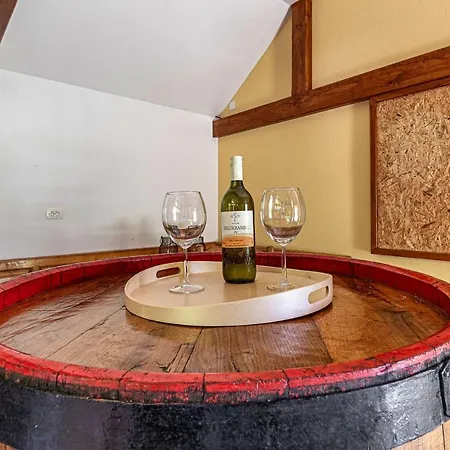 Hotel Vineyard Pri Krakaru - Happy